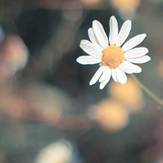 轰炸电话信息软件免费版